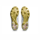ASICS DS LIGHT PRO (2E)