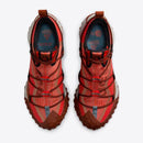 NIKE ACG MOUNTAIN FLY LOW GTX SE