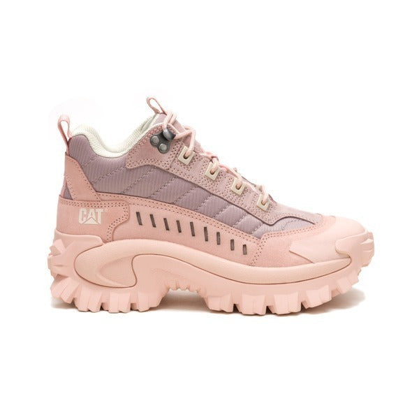 CAT INTRUDER MID WS
