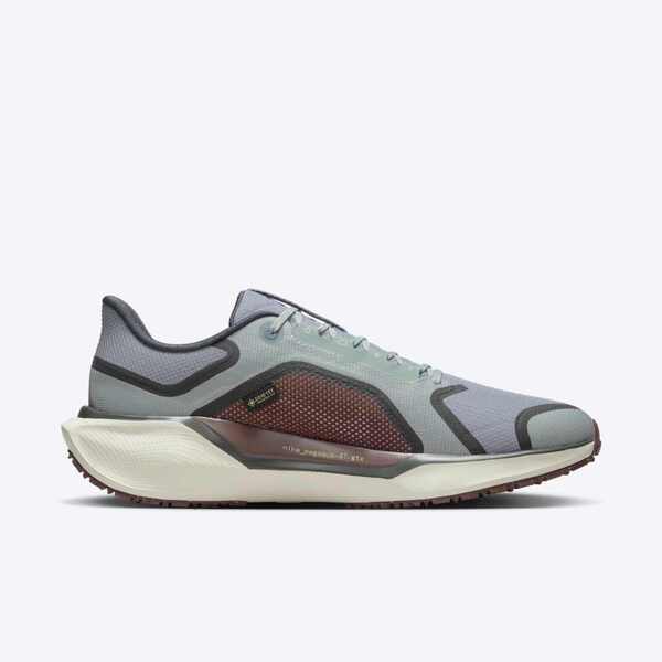 NIKE AIR ZM PEGASUS 41 GTX