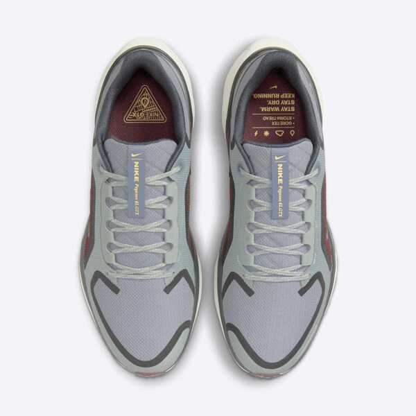 NIKE AIR ZM PEGASUS 41 GTX