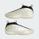 ADIDAS HARDEN VOLUME 10