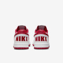 BIG NIKE LOW