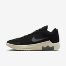 NIKE LEBRON WITNESS IX EP