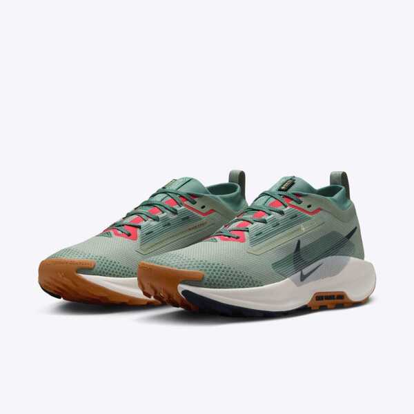 NIKE PEGASUS TRAIL 5 GTX