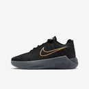 NIKE LEBRON WITNESS IX (GS)