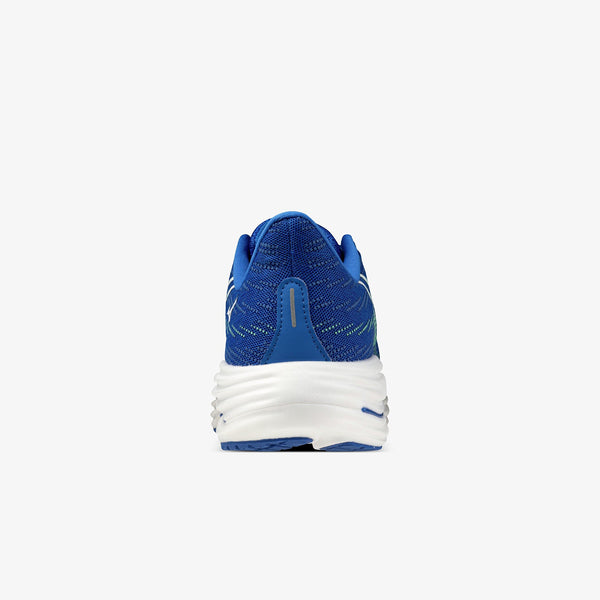 MIZUNO WAVE RIDER 29