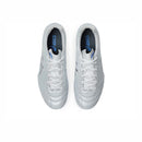 ASICS DS LIGHT PRO (2E)