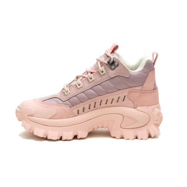 CAT INTRUDER MID WS