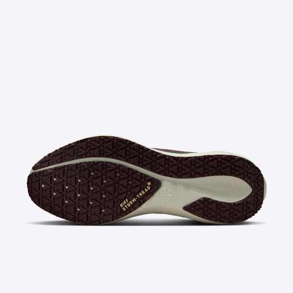 NIKE AIR ZM PEGASUS 41 GTX