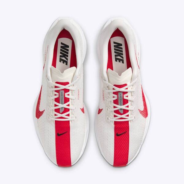NIKE PEGASUS PLUS