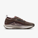 NIKE PEGASUS TRAIL 5 GTX