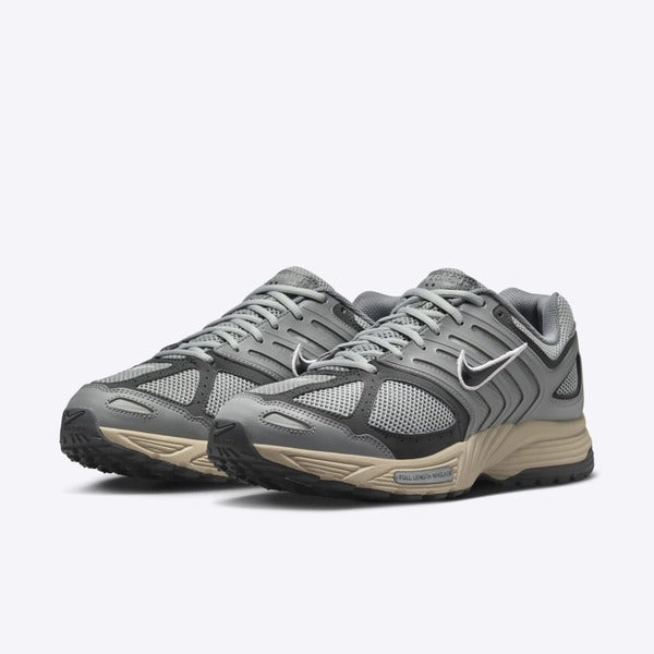 NIKE AIR PEGASUS 2005