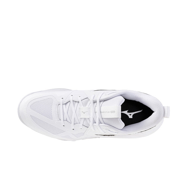 MIZUNO WAVE MOMENTUM PRO