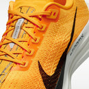 NIKE PEGASUS PLUS LV8