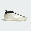 ADIDAS HARDEN VOLUME 10