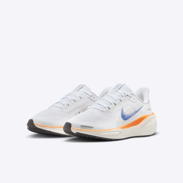 NIKE PEGASUS 41 BLUEPRINT (GS)