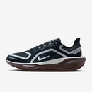 NIKE W AIR ZM PEGASUS 41 GTX