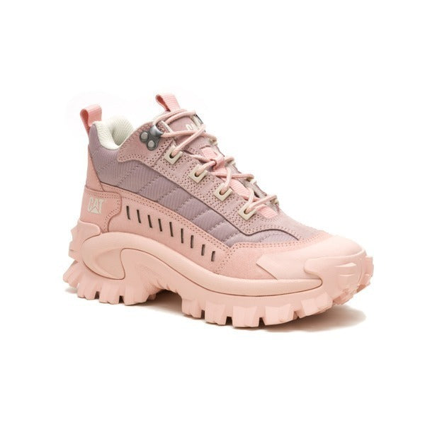 CAT INTRUDER MID WS