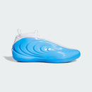 ADIDAS HARDEN VOLUME 10