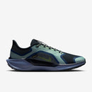 NIKE AIR ZM PEGASUS 41 GTX