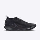 NIKE PEGASUS TRAIL 5 GTX