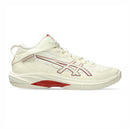 ASICS GELHOOP V17