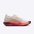 NIKE PEGASUS TRAIL 5 GTX