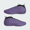 ADIDAS HARDEN VOLUME 10