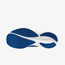 MIZUNO WAVE RIDER 29