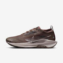 NIKE PEGASUS TRAIL 5 GTX