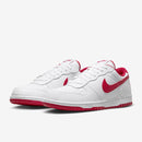 BIG NIKE LOW