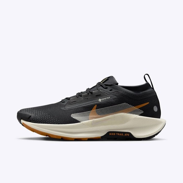 NIKE PEGASUS TRAIL 5 GTX