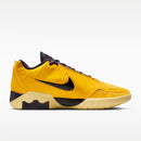NIKE LEBRON WITNESS IX EP