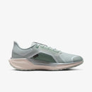 NIKE AIR ZM PEGASUS 41 GTX