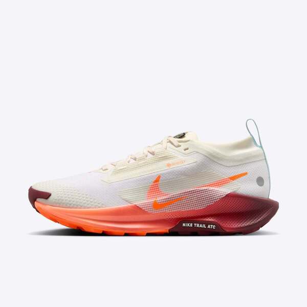 NIKE W PEGASUS TRAIL 5 GTX