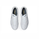 ASICS DS LIGHT PRO (2E)