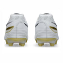 ASICS DS LIGHT PRO (2E)