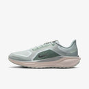 NIKE AIR ZM PEGASUS 41 GTX
