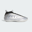 ADIDAS HARDEN VOLUME 10 ASW