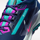 NIKE PEGASUS TRAIL 5 GTX