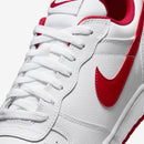 BIG NIKE LOW
