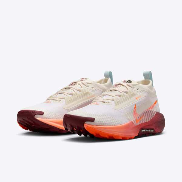 NIKE W PEGASUS TRAIL 5 GTX