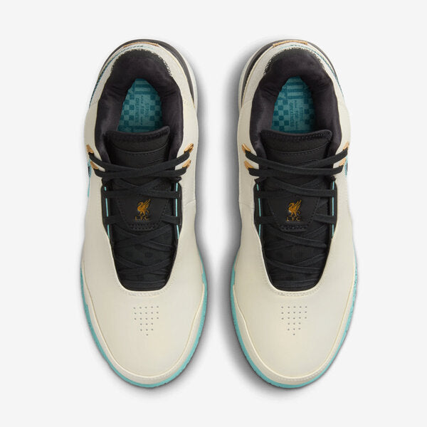 NIKE ZM LEBRON NXXT GEN AMPD EP