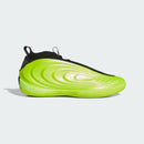 ADIDAS HARDEN VOLUME 10