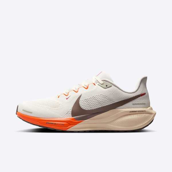 NIKE AIR ZOOM PEGASUS 41