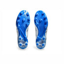 ASICS DS LIGHT PRO (2E)