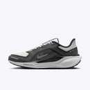 NIKE AIR ZM PEGASUS 41 GTX