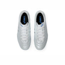 ASICS DS LIGHT ADVANCE (2E)