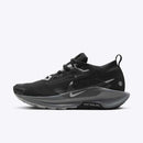 NIKE W PEGASUS TRAIL 5 GTX